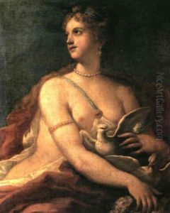 Venus Venus