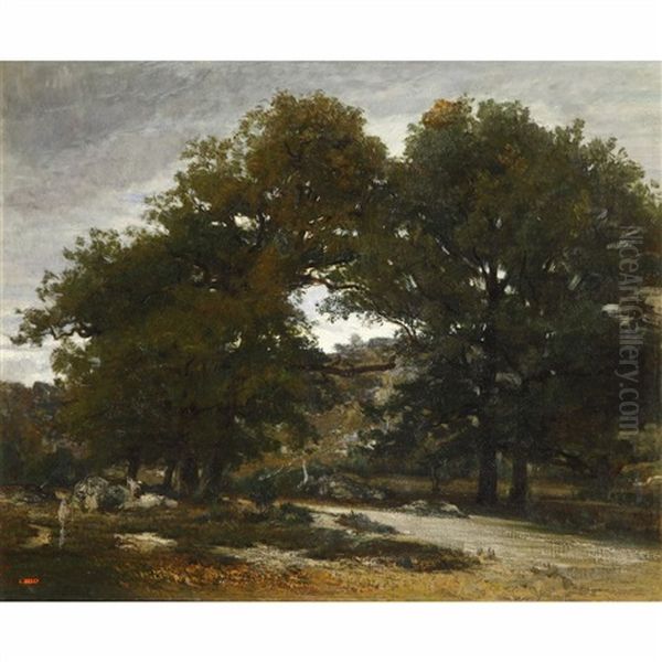 Forest - view 1