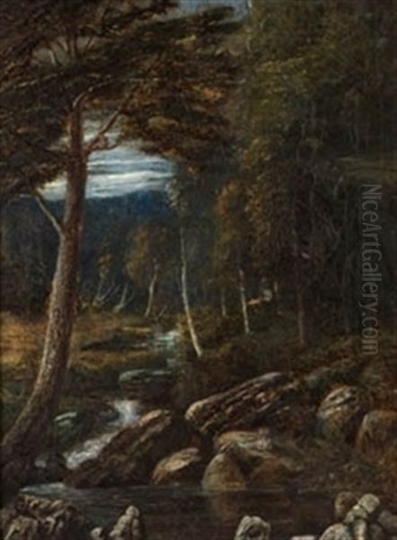 Bosque - view 1