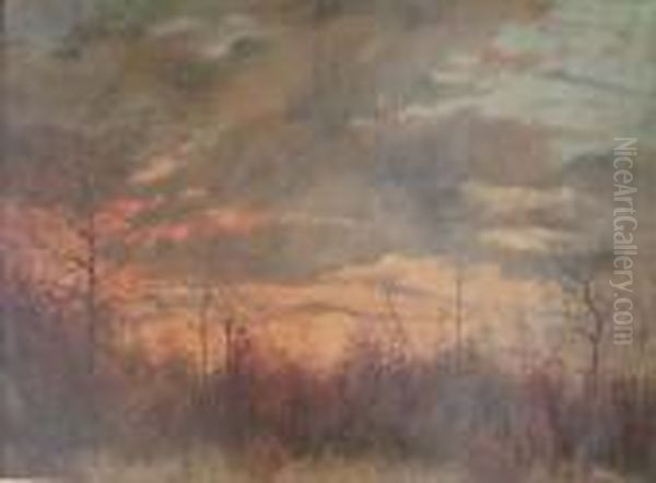 Foret Rougeoyante - view 1