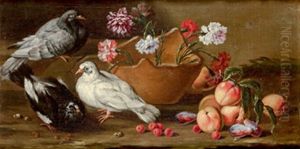 Stillleben Mit Zwei Tauben, Natura Morta Con Due Piccioni Stillleben Mit Zwei Tauben, Natura Morta Con Due Piccioni
