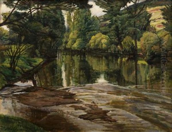 Otava River - view 1