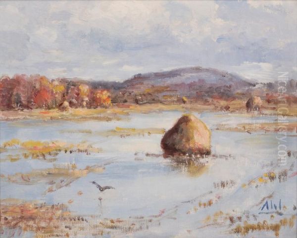 Marsh View - view 1