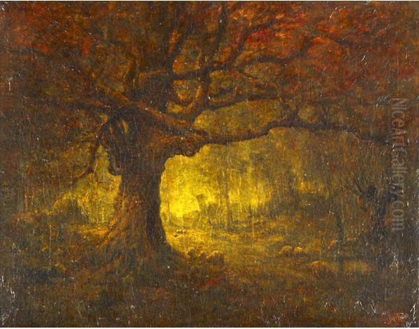 A Forest Landscape - view 1
