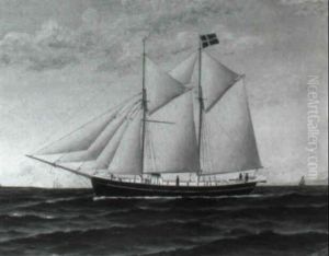 Volke' Fr. Halmstad