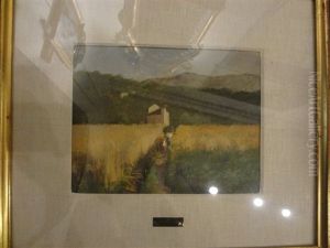 A Paessaggio Nel Campo Di Grano