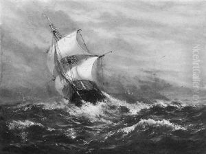 Off Cape Race Off Cape Race