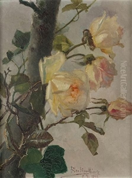 Rosal - view 1