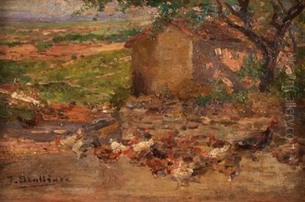 Gallinas - view 1