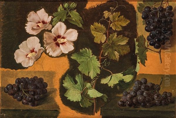Suite De Neuf Etudes De Vegetaux - view 1