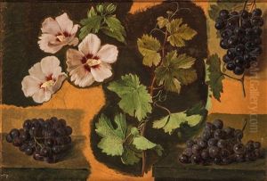 Suite De Neuf Etudes De Vegetaux