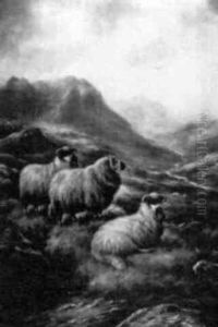 Highland Sheep by Frank Moss Bennett