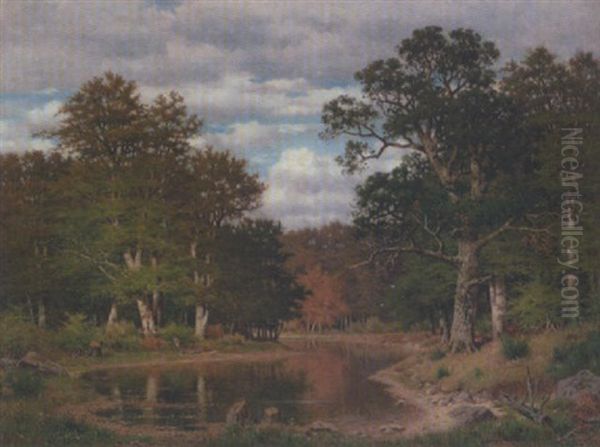 Herbstwald Mit Teich Und Rehwild - view 1