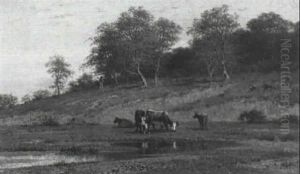 Kuhe Auf Der Weide Kuhe Auf Der Weide