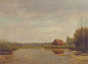 Waterlilies In A Polder Pond