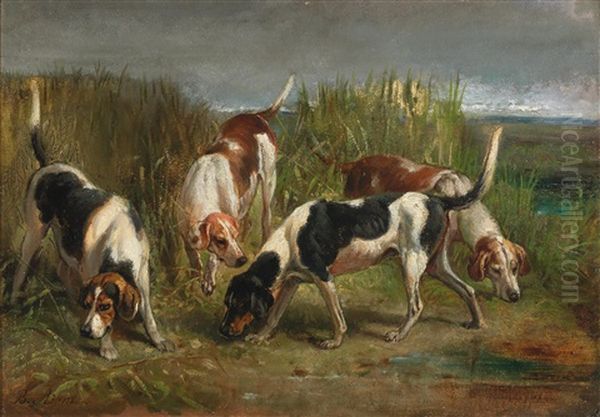 Pointers - view 1