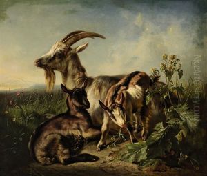 Ziege Mit Zwei Zicklein Auf Der Wiese Ziege Mit Zwei Zicklein Auf Der Wiese