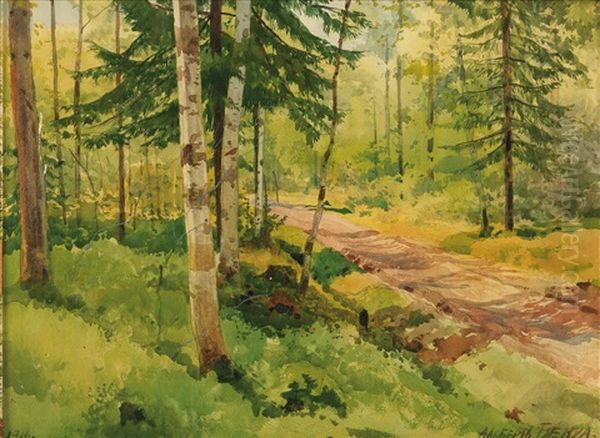 Summer Woodland - view 1