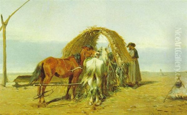 Motiv Aus Der Puszta - view 1