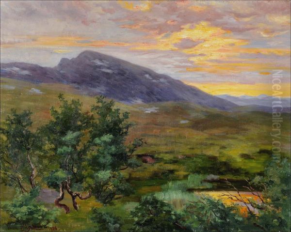 "tunturipuro Auringonlaskussa". - view 1