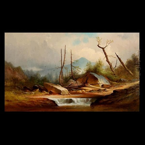 Watering Hole - view 1
