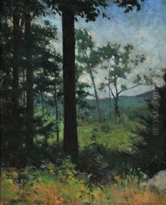 Woods, Dublin, New Hampshire