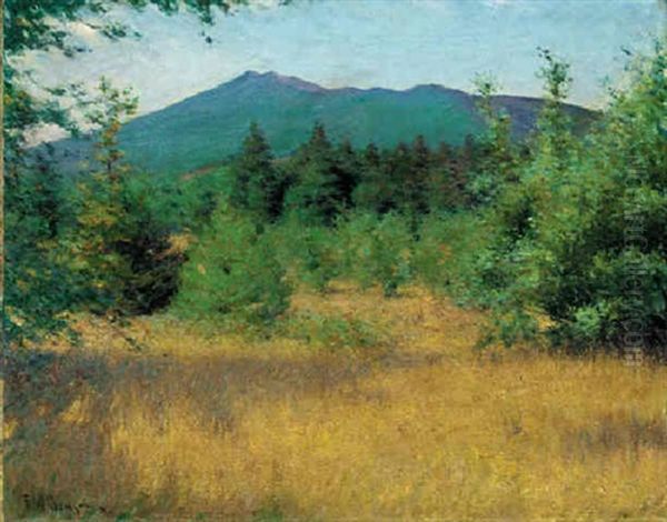 Mount Monadnock - view 1