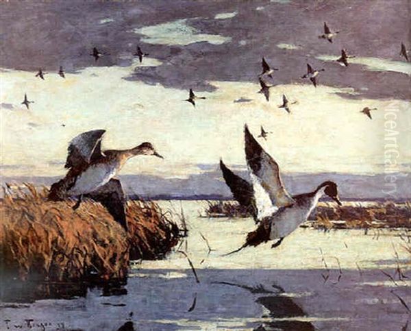 Flying Pintails - view 1