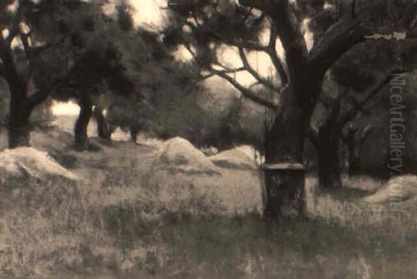 Landscape Scene - view 1