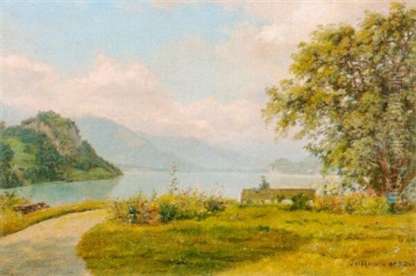 Partie Am Brienzersee - view 1