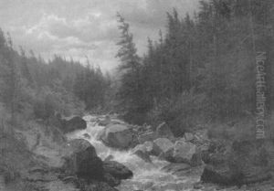 Vorgebirgslandschaft Mit Bergbach