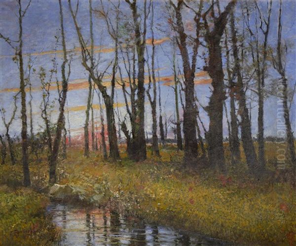 Woodland Scene At Sunset - view 1