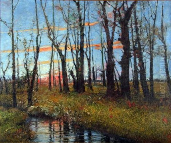 Woodland At Sunset - view 1
