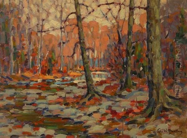 December Afternoon - view 1