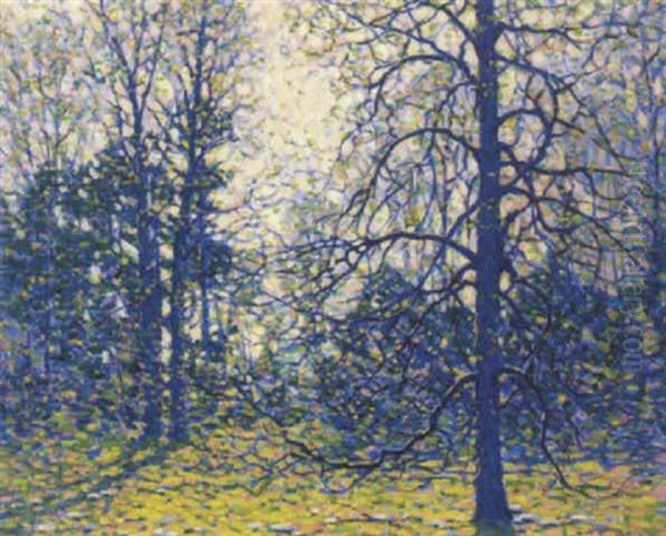 Trees In Autumn - view 1