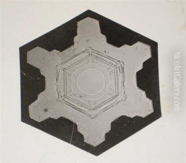Snow Crystals (+ 2 Others; 3 Works) - view 1