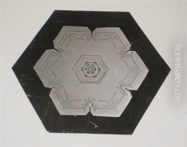 Snow Crystals (+ 2 Others; 3 Works) - view 1