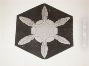 Snow Crystals (+ 2 Others; 3 Works) by Wilson Alwyn Bentley