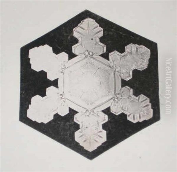 Snow Crystals (+ 2 Others; 3 Works) - view 1