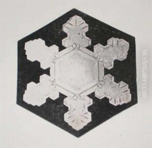 Snow Crystals (+ 2 Others; 3 Works) by Wilson Alwyn Bentley