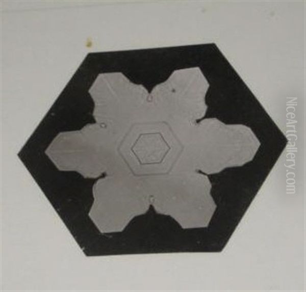 Snow Crystals (+ 2 Others; 3 Works) - view 1