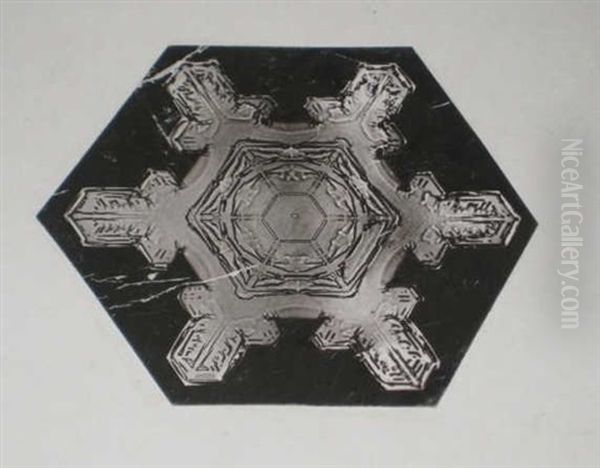 Snow Crystals (+ Another; 2 Works) - view 1