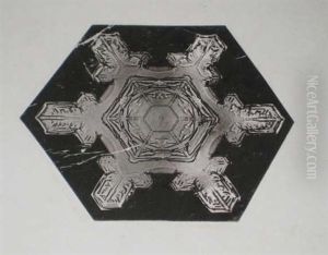 Snow Crystals (+ Another; 2 Works) by Wilson Alwyn Bentley