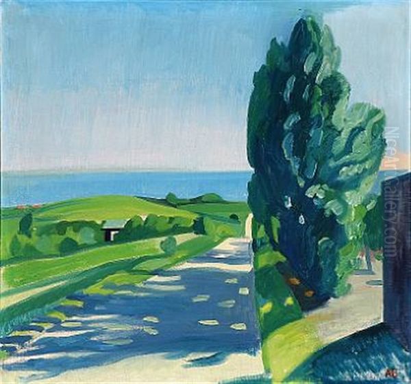 Vej Mod Havet (road To The Sea) - view 1