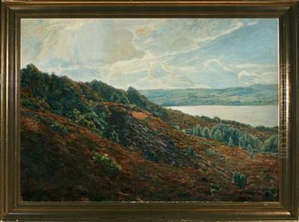 A Danish Moor Landscape With View Over Lake - view 1