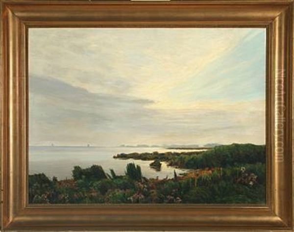 Seashore - view 1