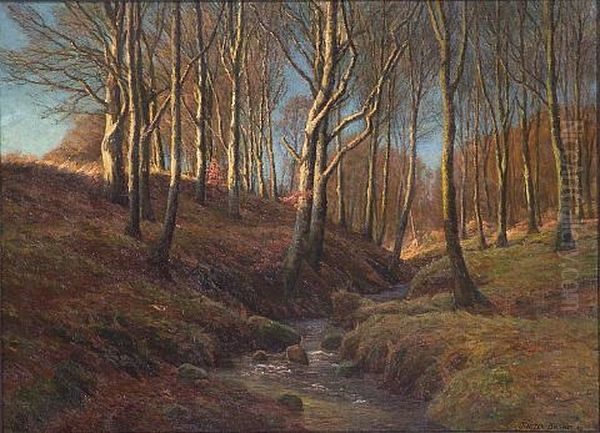 A Stream Flowing Through A Wooded Glade - view 1