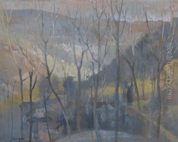 Panorama Del Favaro - view 1
