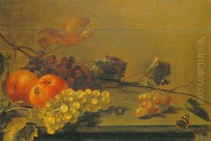 A Still Life With Apples And Grapes And A Red Admiral Butterfly, All On A Wooden Ledge by Gillis Gillisz. de Berch