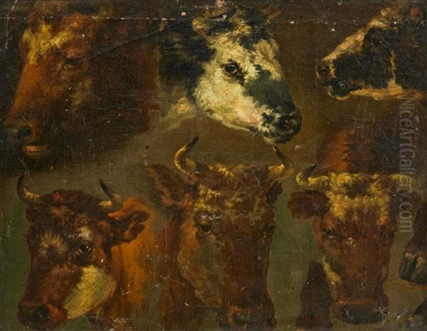 Studies Of Cow"s Heads - view 1